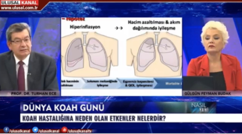 KOAH Tedavisinde Dünyada Yeni Uygulamalar